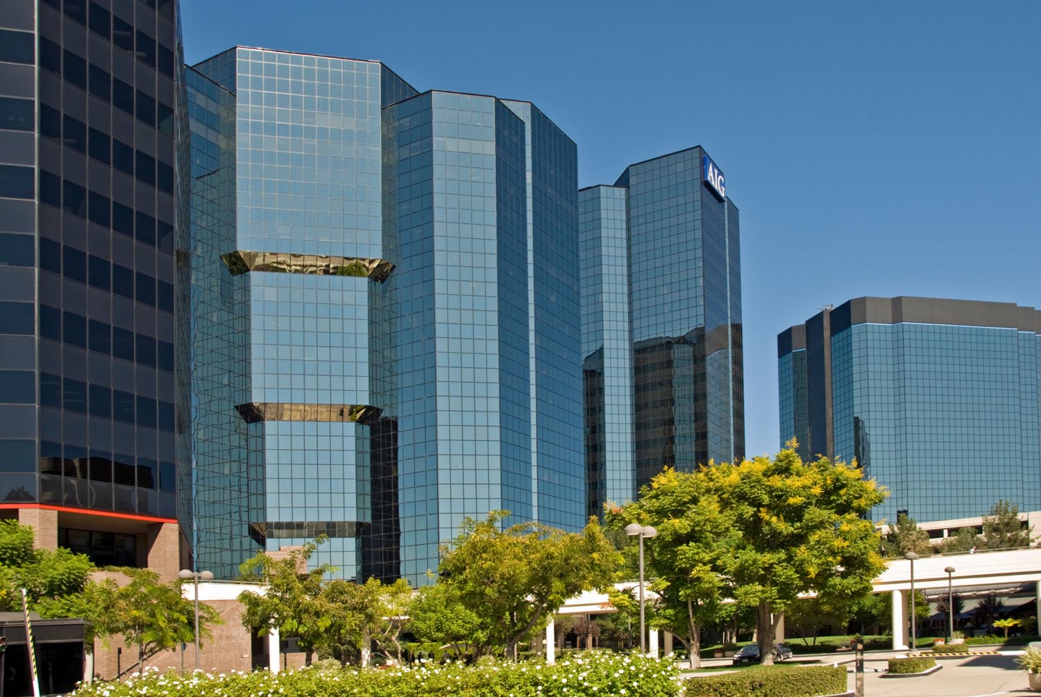 Wealth Management Wealth Management Firm